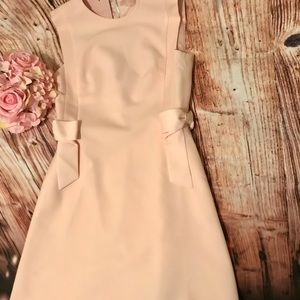 Ted Baker dress,side bows 🎀 and zip up back.